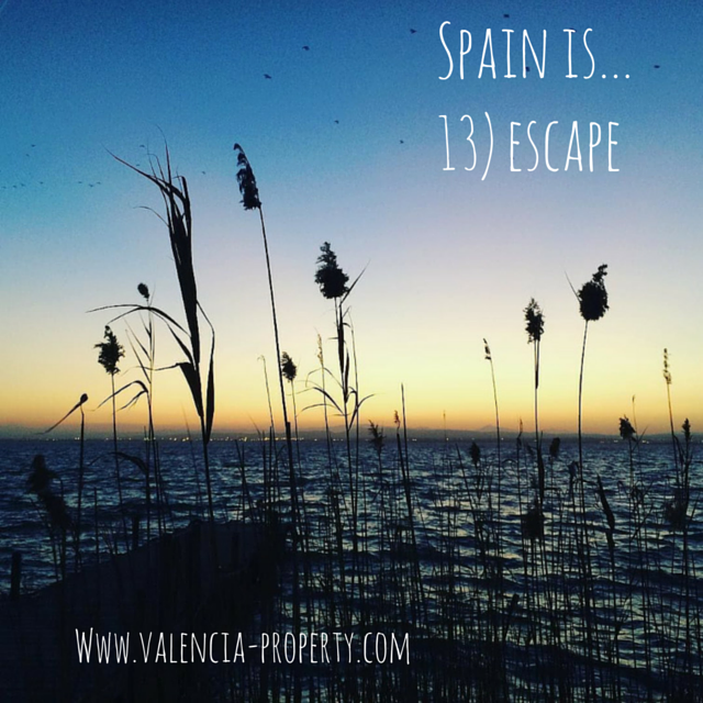 escape from the Trumpfuhrer escape from the Trumpfuhrer