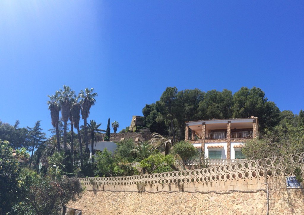 Paying For A Gorgeous View in Naquera