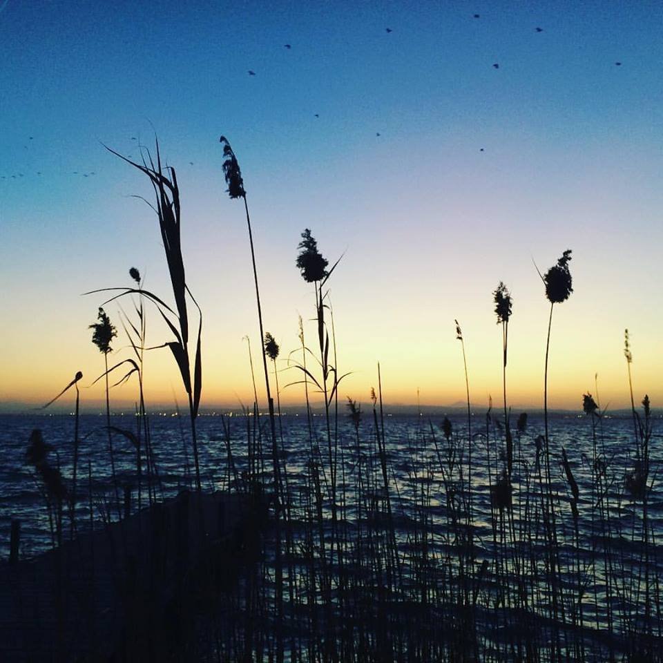 Albufera Lake In Valencia