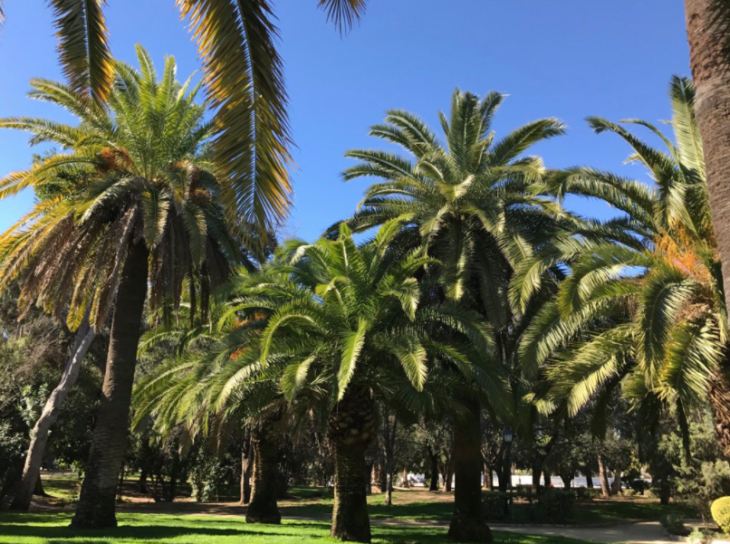 A Fantastic Park in La Eliana