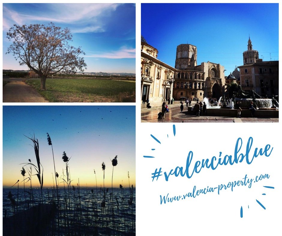 #ValenciaBlue on Twitter