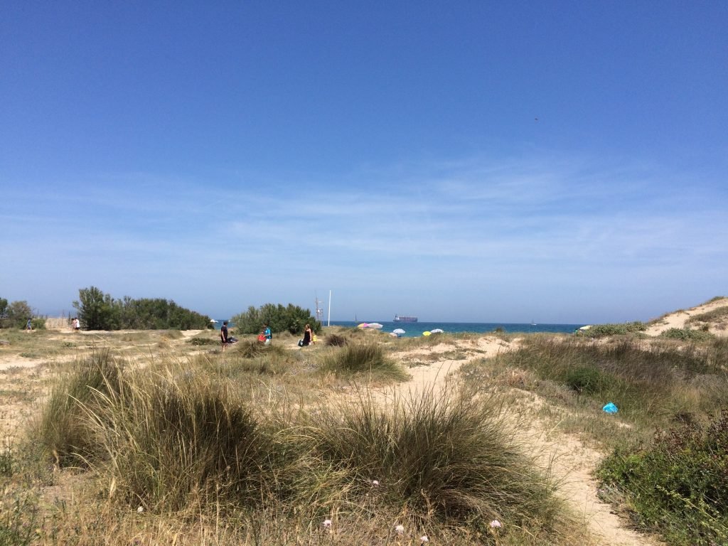 Sand Dunes At El Saler Beach to the South of the City