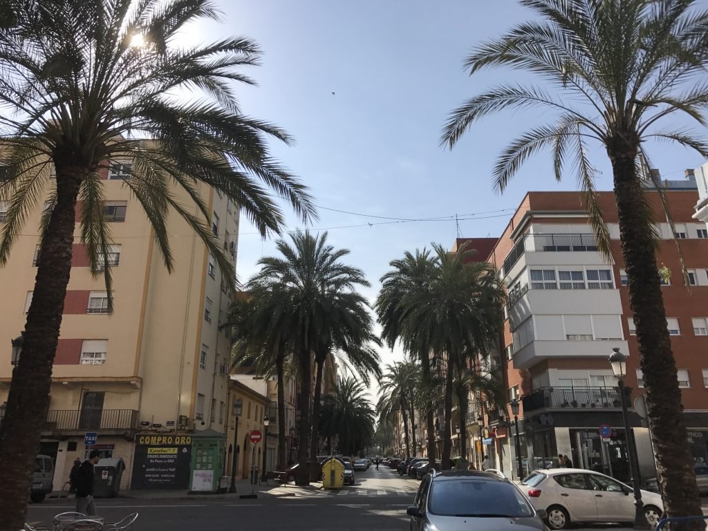 Calle Barraca in the Cabanyal is just one of the many palm and orange lined streets in Valencia. 