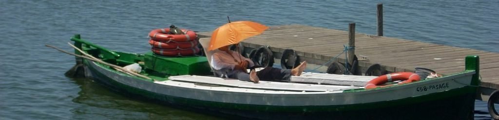 Relax on an Albufera Boat Trip From El Palmar
