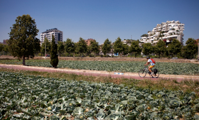 Cycle Paths Predominate in Valencia