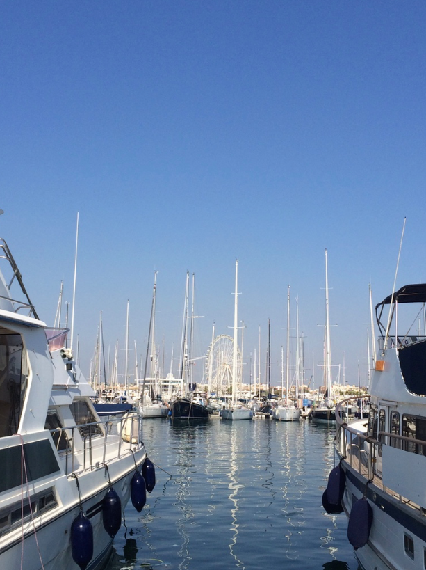 The Marina Real in Valencia Was Developed For The America's Cup