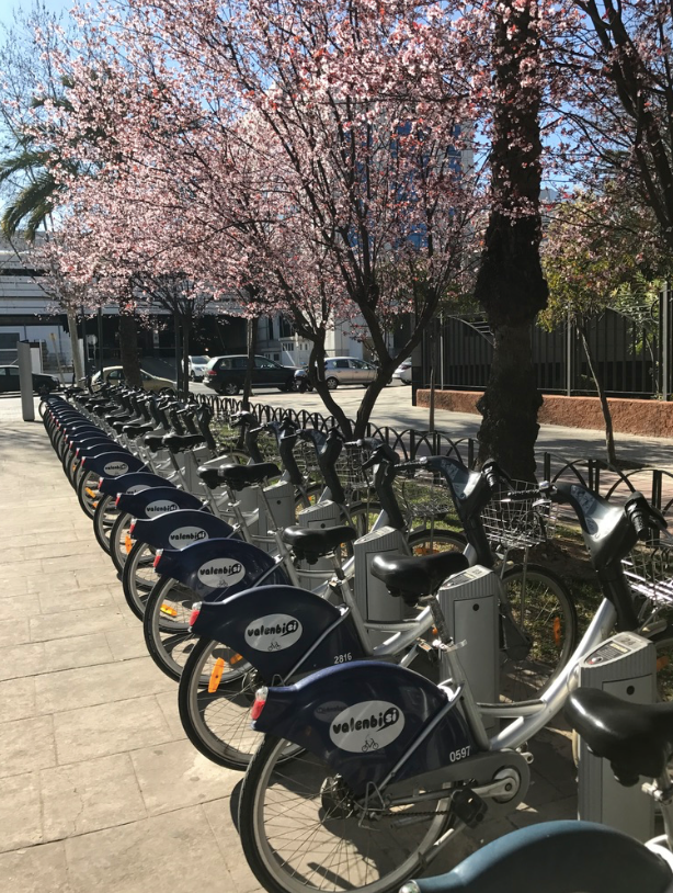 Grab a Valenbisi Bike and Leave it Anywhere in the city. Amazing value at under 30 Euros per year