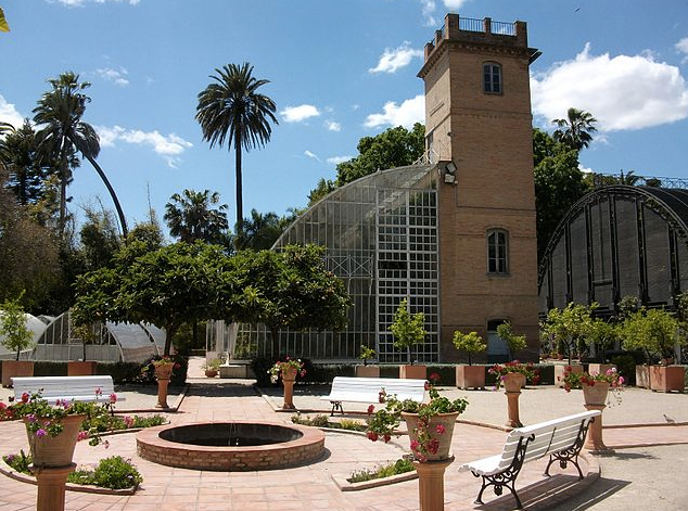 The Botanical Gardens are an excellent escape from the streets of central Valencia. 