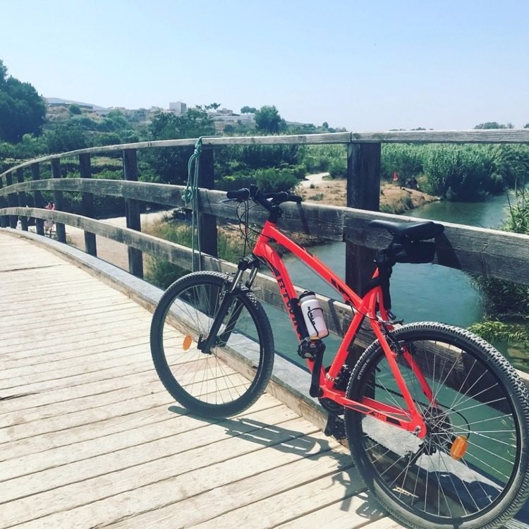 Biking in the Turia Park