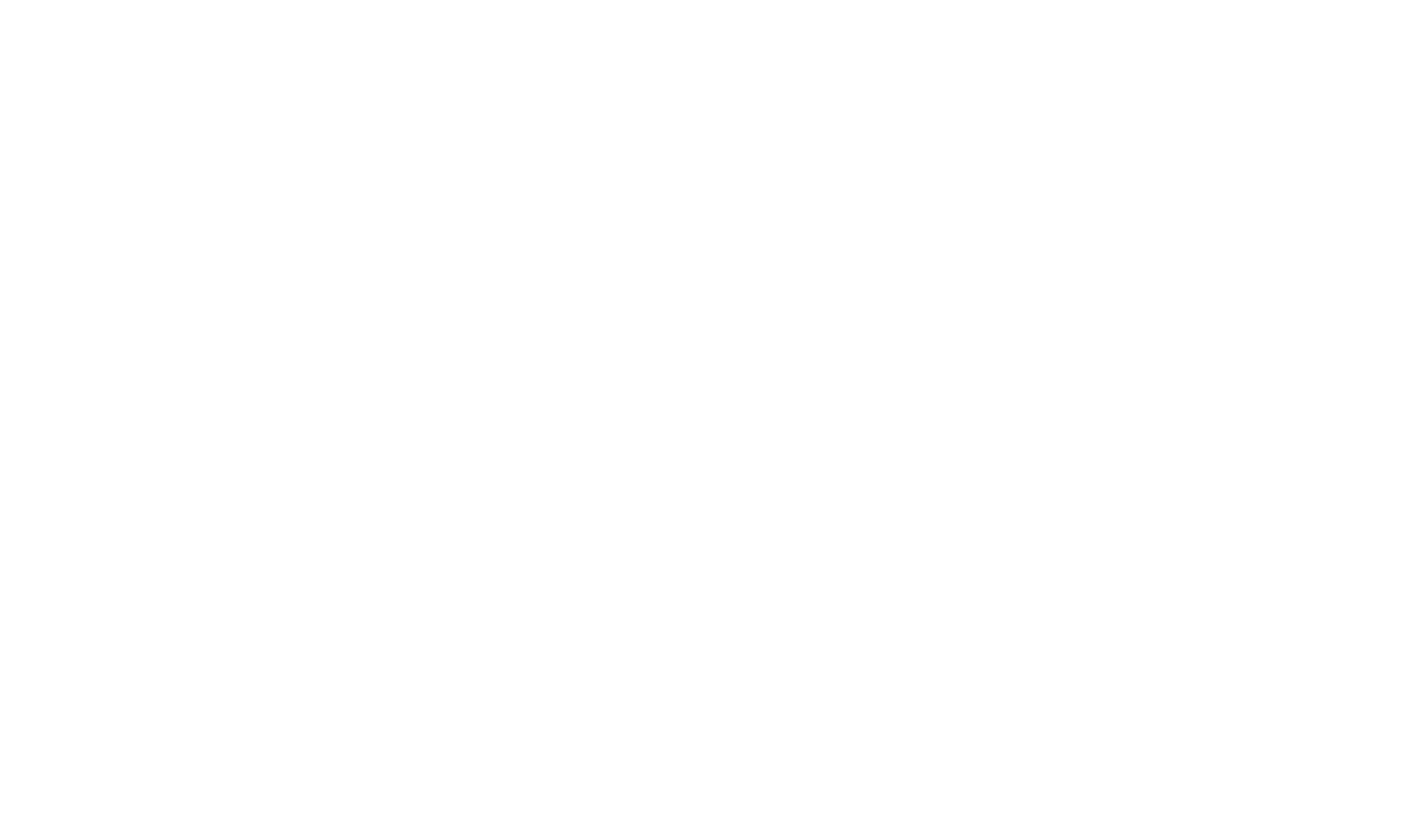 Valencia Property