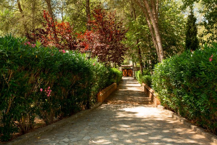 Property 1483 - Image 2