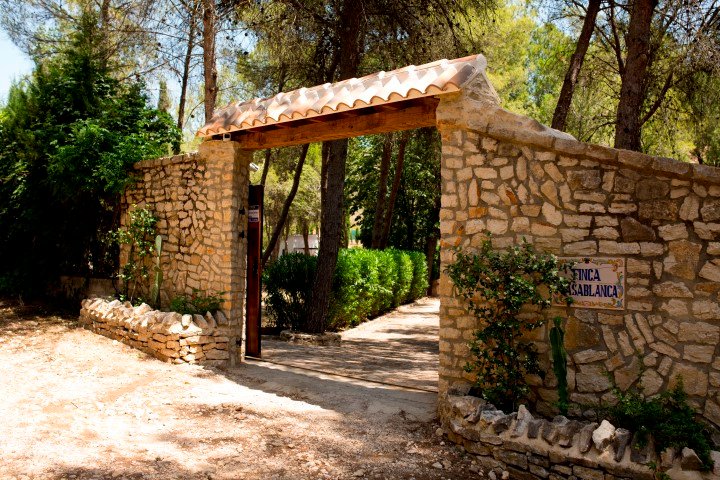 Property 1483 - Image 31