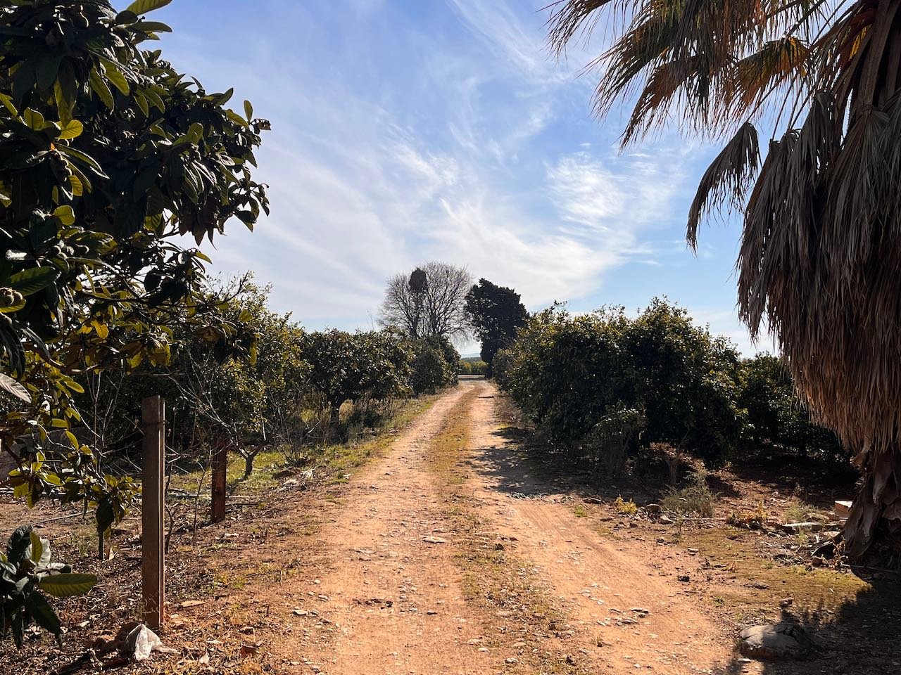 Property 2006 - Image 9