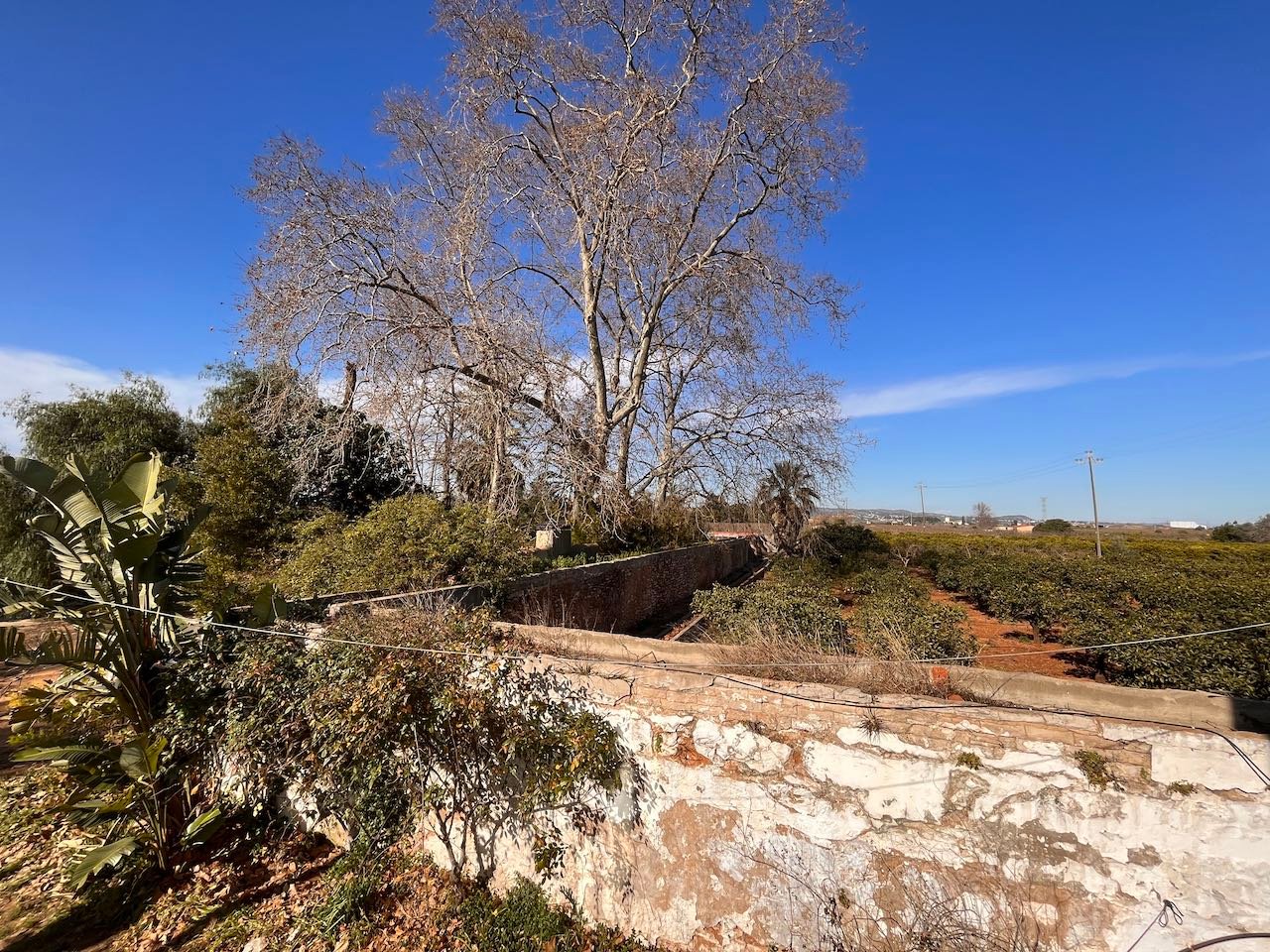 Property 2006 - Image 12