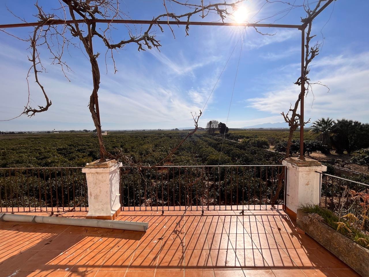 Property 2006 - Image 23