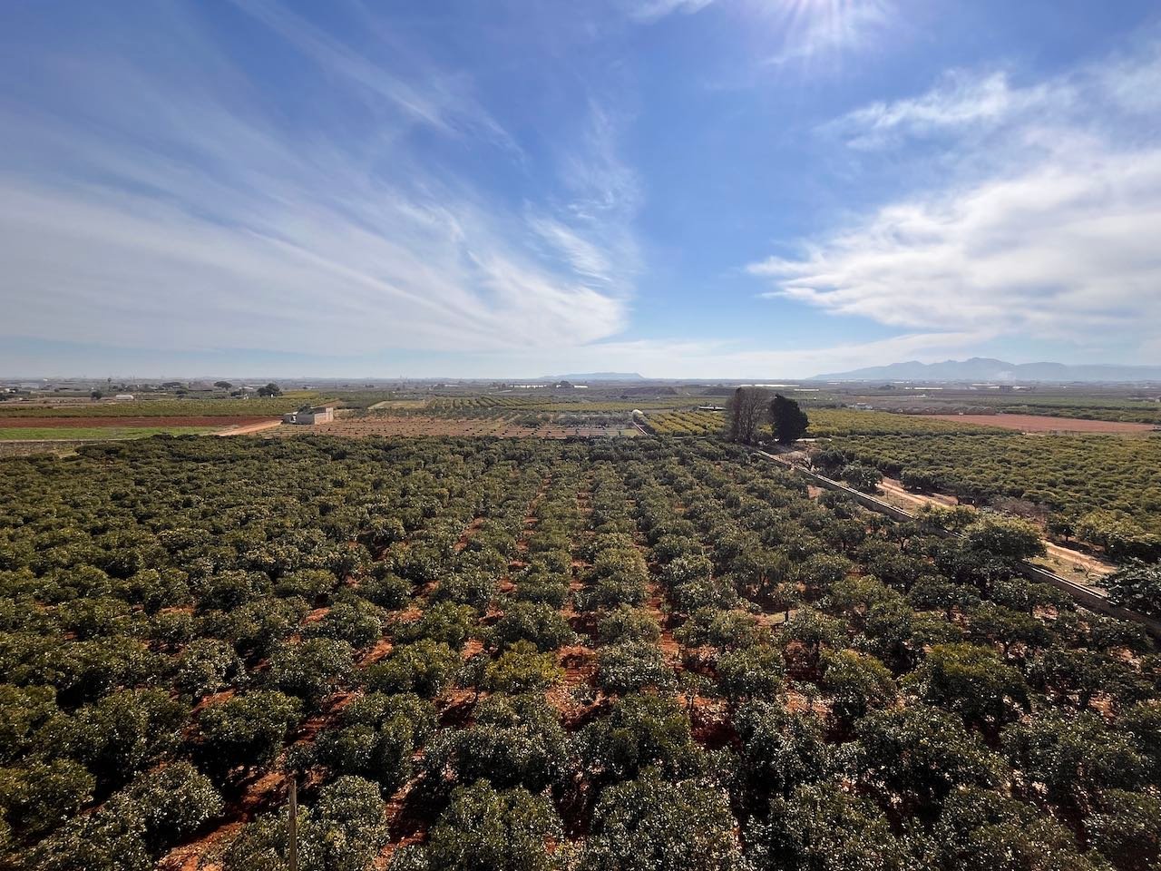 Property 2006 - Image 47