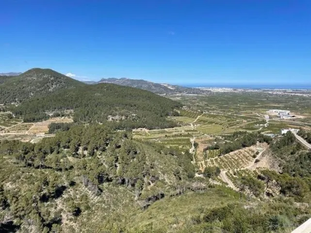 Property 2020 - Image 5