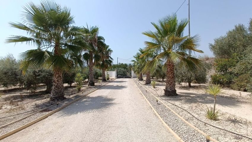 Property 2162 - Image 17