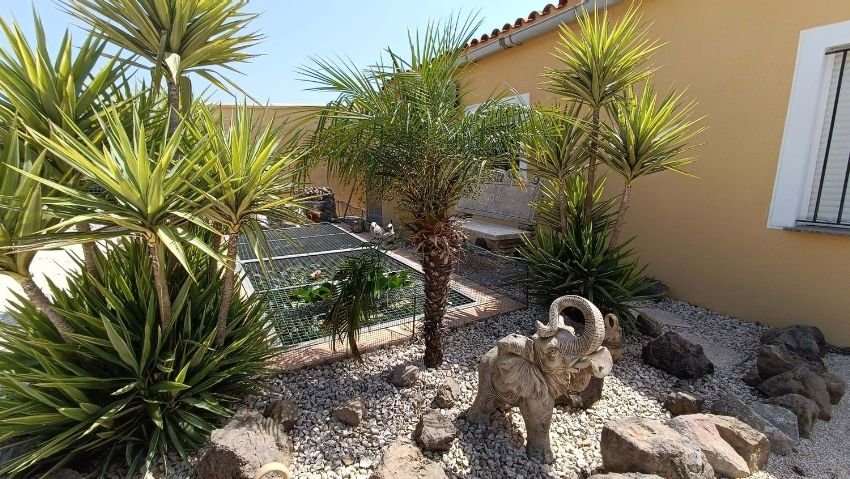 Property 2162 - Image 21