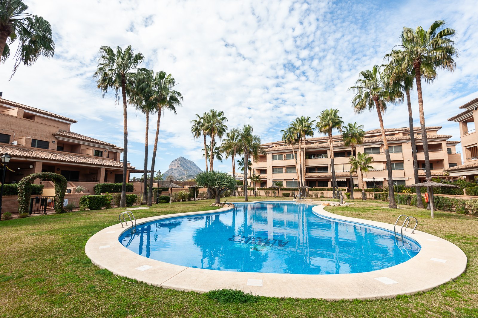 JAVEA SEEN THIS BEAUTY in Outside Valencia