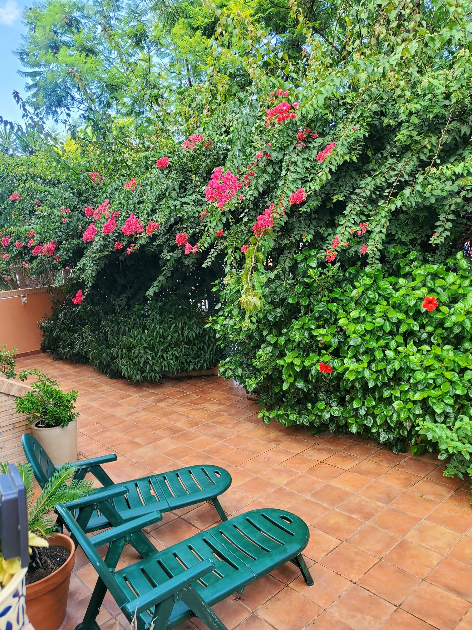 Property 2166 - Image 41