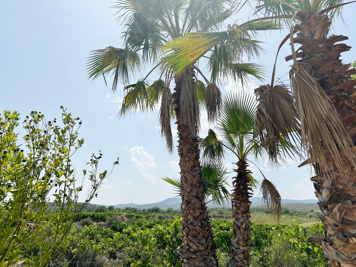 Property 2195 - Image 5