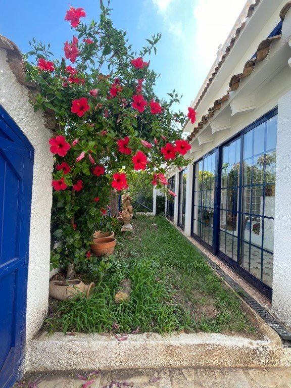 Property 2241 - Image 5