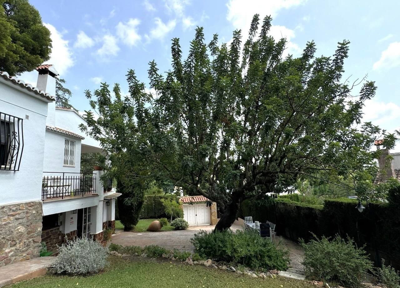 Property 2246 - Image 9