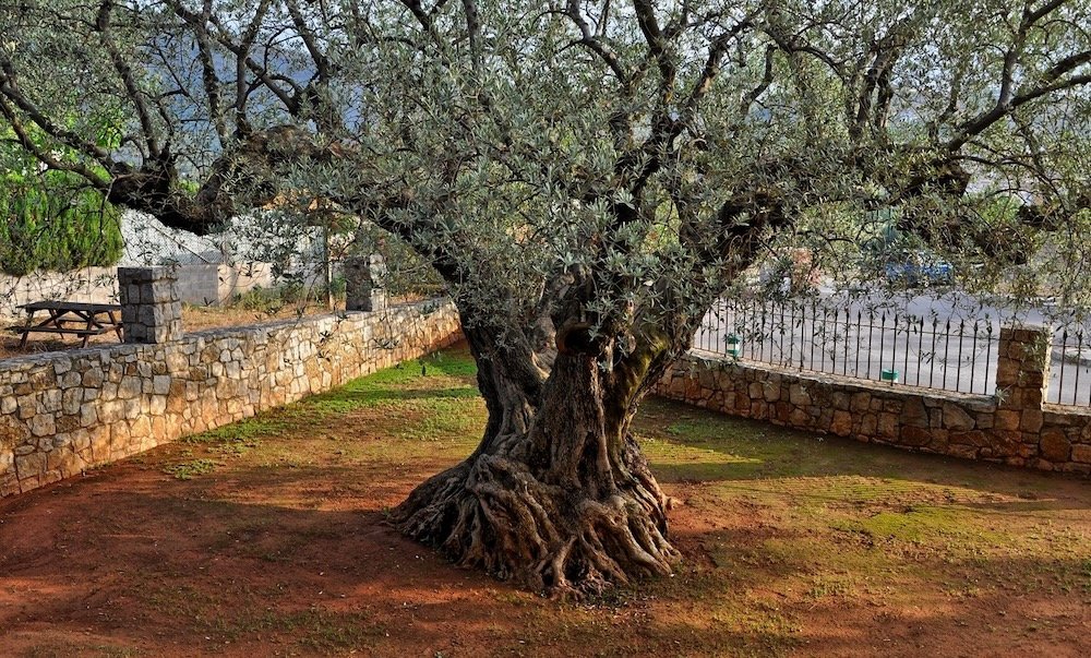 Property 2361 - Image 33