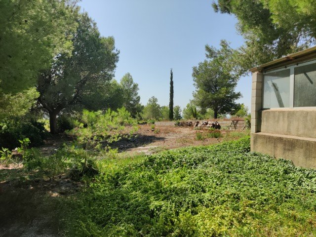 Property 2397 - Image 31