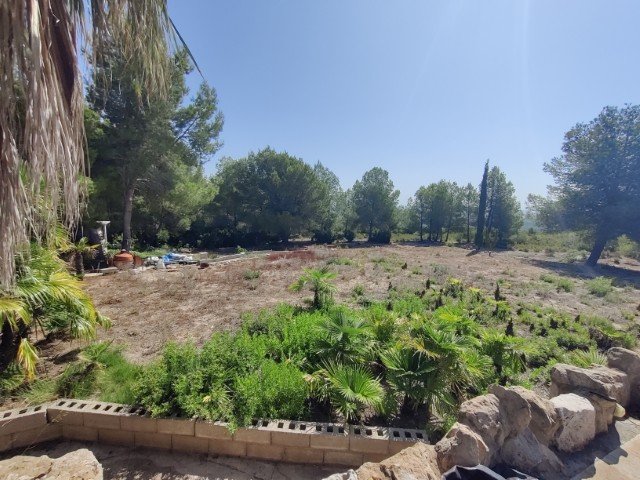 Property 2397 - Image 40