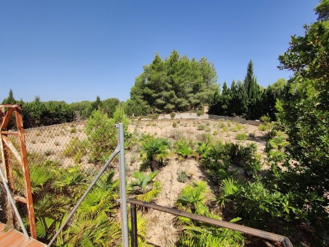 Property 2397 - Image 4