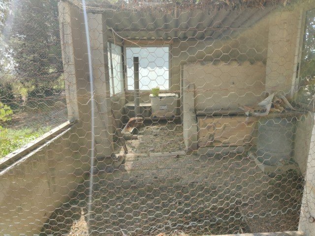 Property 2397 - Image 10