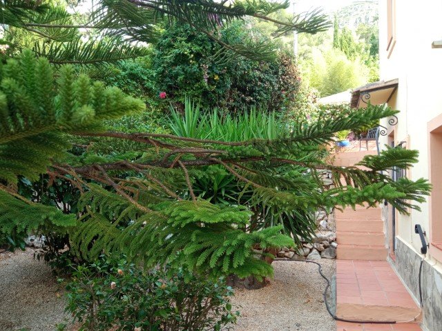 Property 2403 - Image 9