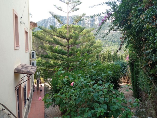 Property 2403 - Image 11