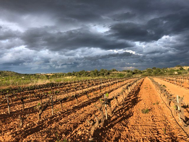 Property 2408 - Image 49