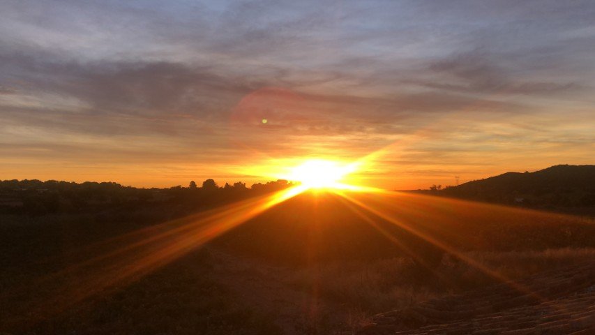 Property 2408 - Image 50