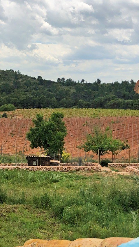 Property 2408 - Image 51