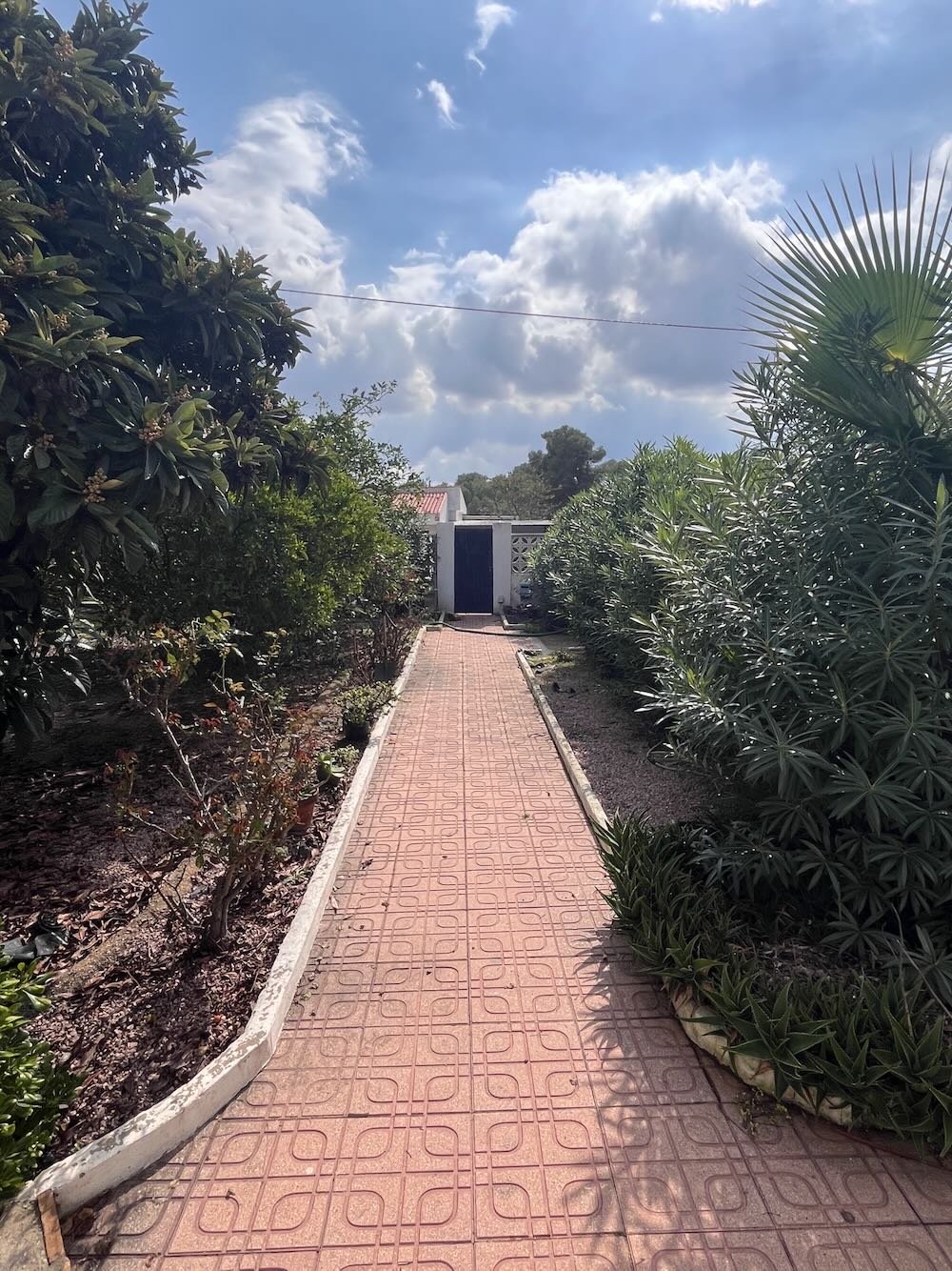 Property 2418 - Image 23