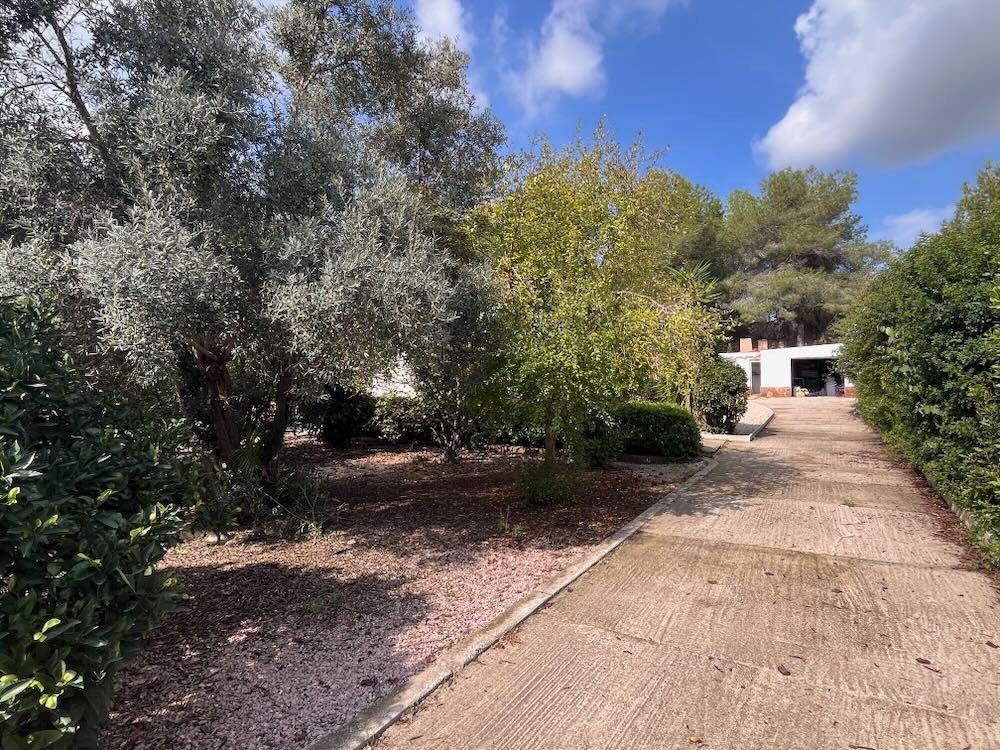 Property 2418 - Image 26